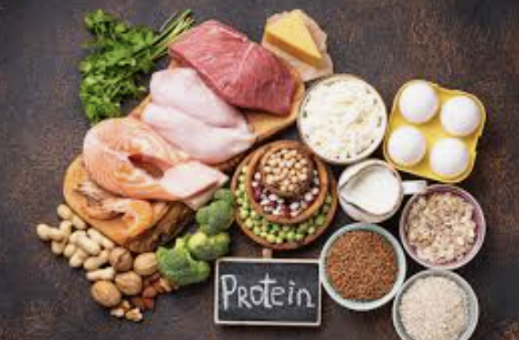 Aliments riches en protéines