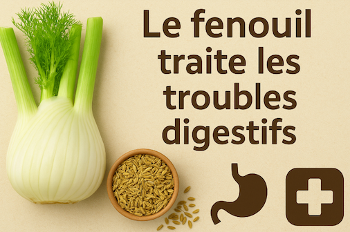 Le fenouil traite les troubles digestifs